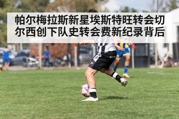 帕尔梅拉斯新星埃斯特旺转会切尔西创下队史转会费新纪录背后
